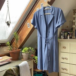 Everlane Japanese GoWeave Shirtdress